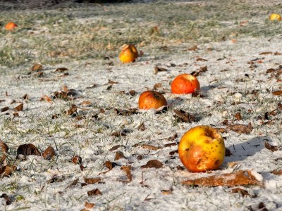 Farmhouse Holiday Farm Schwaig Zaubernuss - Outdoor photo 13