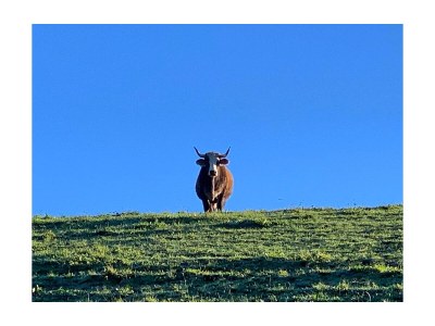 Farmhouse Holiday Farm Schwaig Zaubernuss - Document photo 42