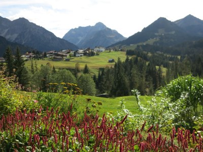Holiday apartment Fellhorn in Haus Schneider - Outdoor photo 6