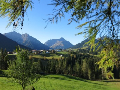 Holiday apartment Fellhorn in Haus Schneider - Environment photo 21