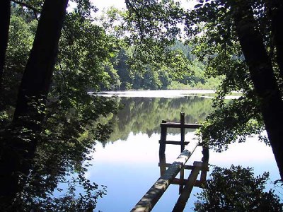 Holiday apartment Buchenheim House Rena - Environment photo 10