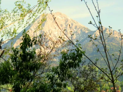 Holiday house in idyllic woods at Faaker Lake - Environment photo 11