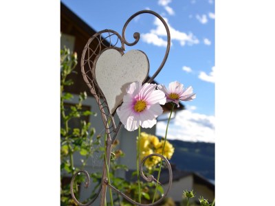 Holiday apartment Haus Sonnleit'n - Environment photo 18