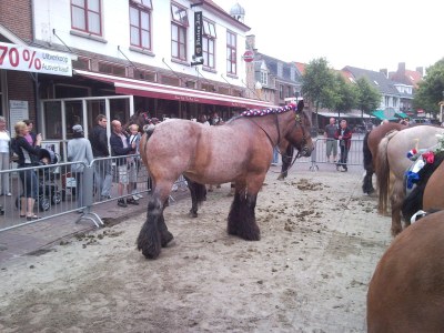Holiday house Weaver's Cottage - Environment photo 19