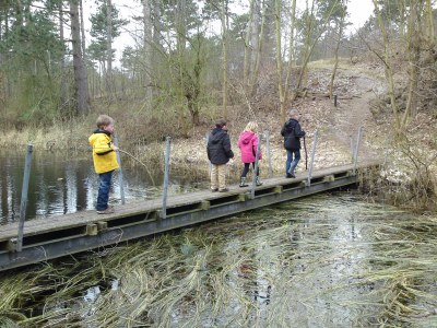 Holiday house Weaver's Cottage - Environment photo 20