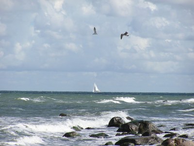 Holiday house Nordstrand - Environment photo 19