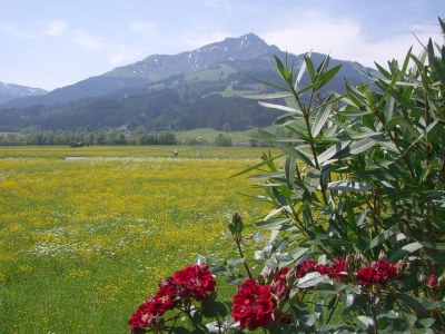 Holiday apartment 2 at the apartment house Astl - Environment photo 15