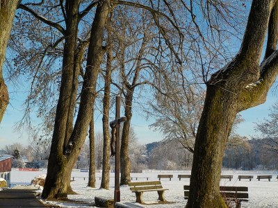 Holiday apartment Hilmer - Outdoor photo 6