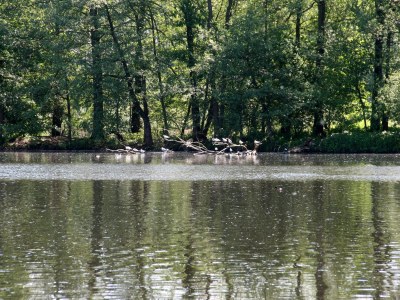 Holiday apartment Hilmer - Environment photo 18