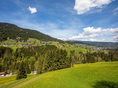 Holiday apartment Alma im Hoefle - Outdoor photo 9