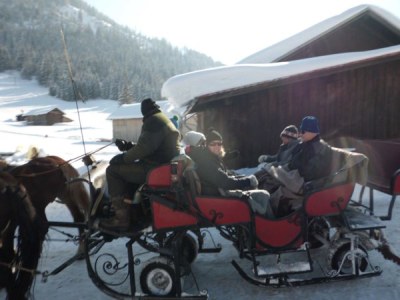 Holiday apartment Zilly im Hoefle - Environment photo 16