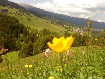 Holiday apartment Zilly im Hoefle - Environment photo 20