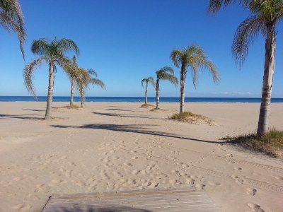 Holiday house Sonnenschein - Environment photo 19