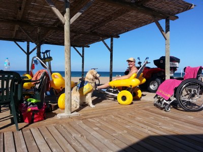 Holiday house Sonnenschein - Environment photo 20