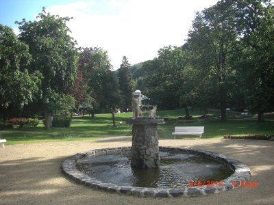 Holiday apartment WK - Vacation Apartment Bad Harzburg - Environment photo 10