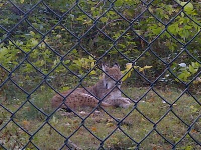 Holiday apartment WK - Vacation Apartment Bad Harzburg - Environment photo 11
