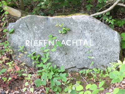 Holiday apartment WK - Vacation Apartment Bad Harzburg - Environment photo 13