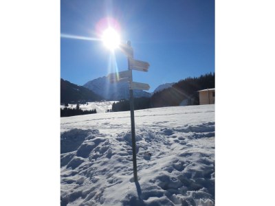 Holiday apartment Walserglück - Environment photo 18