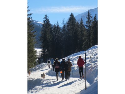 Holiday apartment Walserglück - Environment photo 19