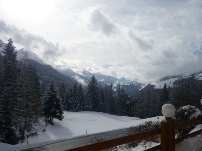 Holiday apartment 1 in House Wolf - Environment photo 12