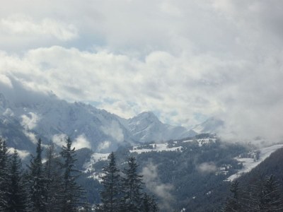 Holiday apartment 1 in House Wolf - Environment photo 13