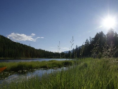 Holiday apartment 1 in House Wolf - Environment photo 16