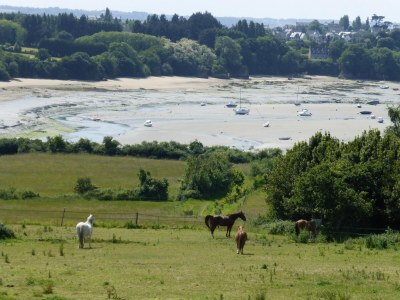 Apartment Apartment near Frémur & Sandy Beaches - Environment photo 13