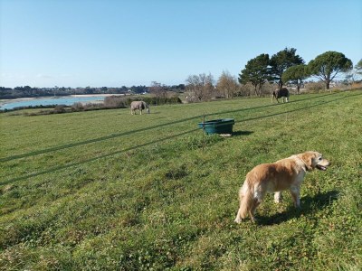 Apartment Apartment near Frémur & Sandy Beaches - Environment photo 14