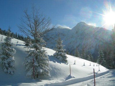 Holiday apartment 2 in the house "Harald Heim" - Environment photo 16