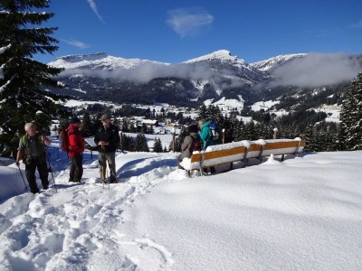 Holiday apartment 2 in the house "Harald Heim" - Environment photo 20