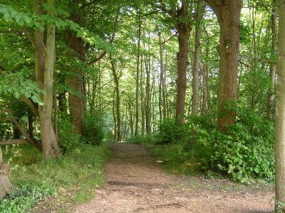 Holiday apartment Schuitvlot - Environment photo 19