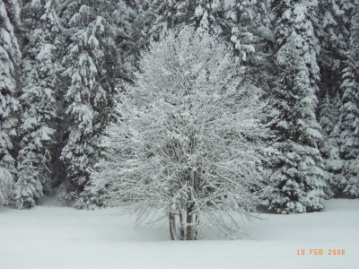 Holiday apartment House Volz - Environment photo 26