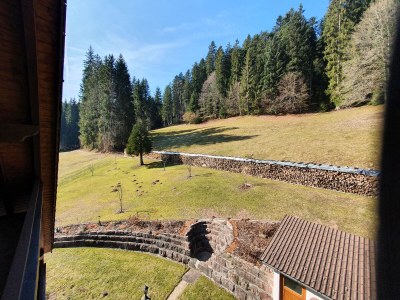 Holiday apartment House Volz - Environment photo 33