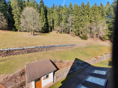 Holiday apartment House Volz - Environment photo 34