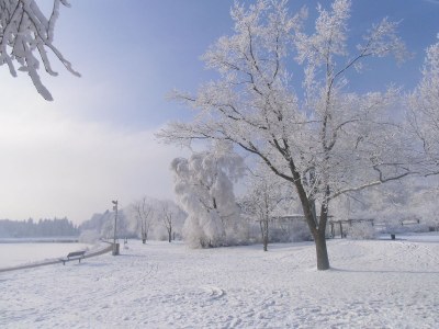 Holiday apartment Haus Jordan holiday flat 1 - Environment photo 18