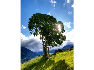 Holiday house In der Blaiche - Environment photo 26