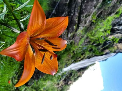 Holiday house In der Blaiche - Environment photo 27