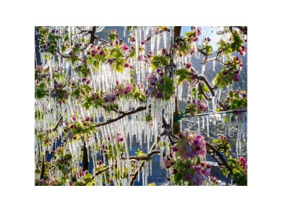 Holiday house In der Blaiche - Environment photo 33