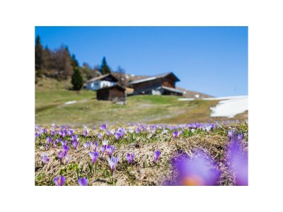 Holiday house In der Blaiche - Environment photo 39