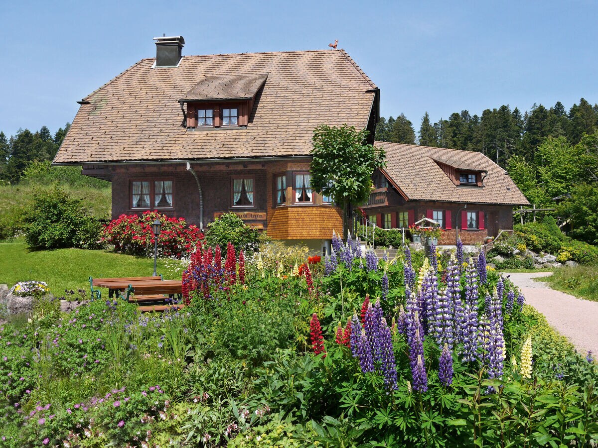 Holiday apartment Landhaus Anja - Outdoor photo 3