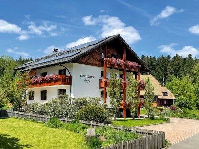 Holiday apartment Landhaus Anja - Outdoor photo 2