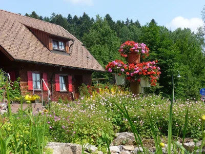 Holiday apartment Landhaus Anja - Outdoor photo 7