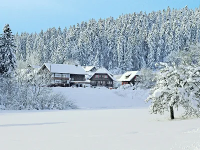 Holiday apartment Landhaus Anja - Outdoor photo 9