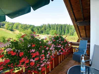 Holiday apartment Landhaus Anja - Features photo 24