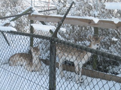 Holiday house Holiday Home No. 56 - Environment photo 15