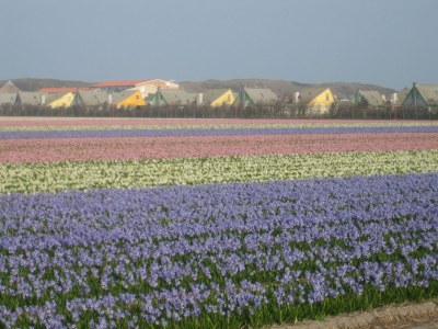 Holiday house Holiday Home No. 56 - Environment photo 16