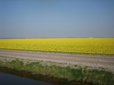 Holiday house Holiday Home No. 56 - Environment photo 17