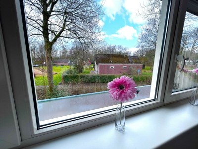 Bungalow Bungalowpark Simpelveld - Delta 128 - Environment photo 17