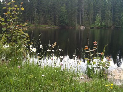 Holiday apartment Rosengarten in the holiday home Carola - Environment photo 23