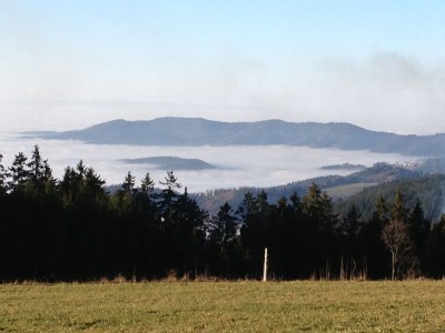 Holiday apartment Rosengarten in the holiday home Carola - Environment photo 25